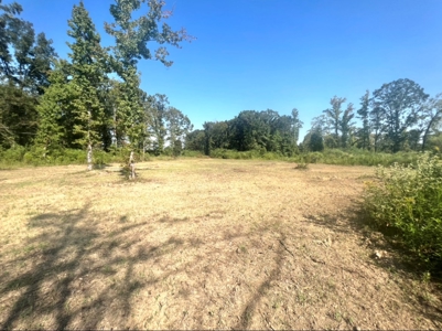40 Acres Land for Sale Morehouse Parish, LA - image 15