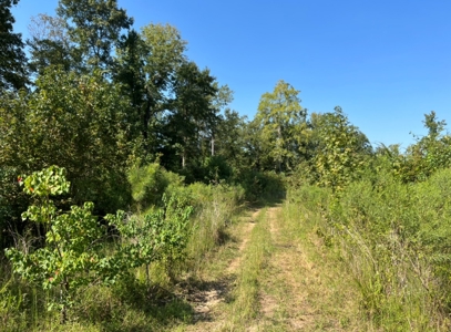 40 Acres Land for Sale Morehouse Parish, LA - image 24