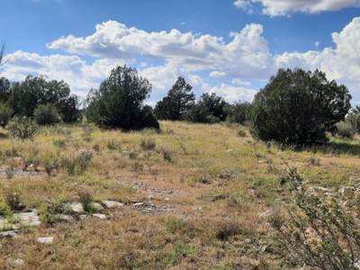 Remote 10 acre off grid parcel backs state land - image 6