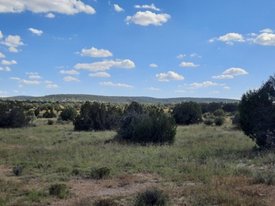 Remote 10 acre off grid parcel backs state land - image 3