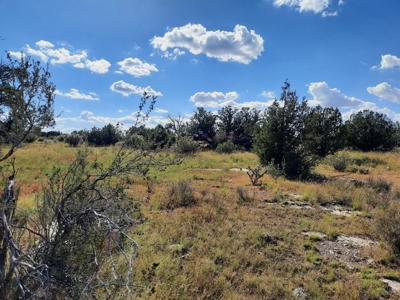Remote 10 acre off grid parcel backs state land - image 11