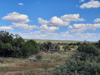 Remote 10 acre off grid parcel backs state land - image 4