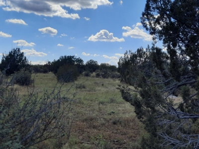 Remote 10 acre off grid parcel backs state land - image 5