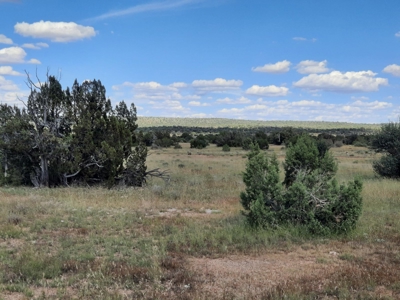 Remote 10 acre off grid parcel backs state land - image 8