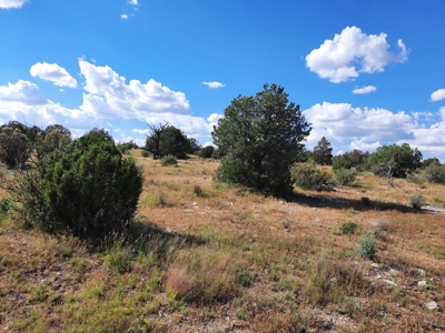 Remote 10 acre off grid parcel backs state land - image 9