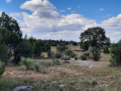 Remote 10 acre off grid parcel backs state land - image 7