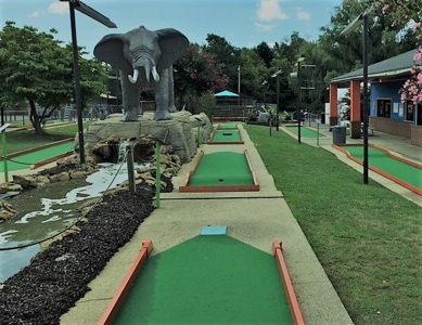 Well-Established Putt Putt Franchise w/ Prime Real Estate - image 6