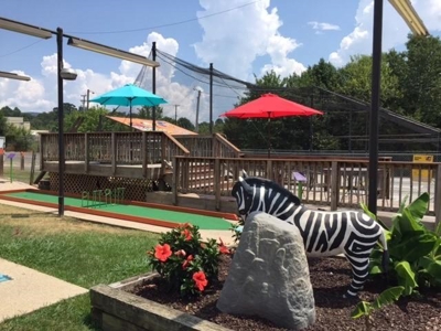 Well-Established Putt Putt Franchise w/ Prime Real Estate - image 5