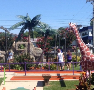 Well-Established Putt Putt Franchise w/ Prime Real Estate - image 4