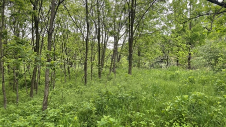 Highland County Ohio land for sale. - image 23