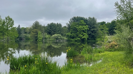 Highland County Ohio land for sale. - image 18