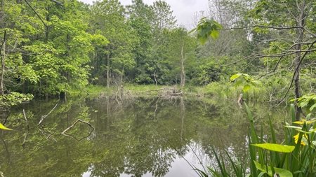 Highland County Ohio land for sale. - image 25
