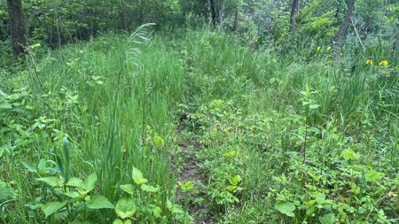 Highland County Ohio land for sale. - image 22