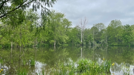 Highland County Ohio land for sale. - image 17