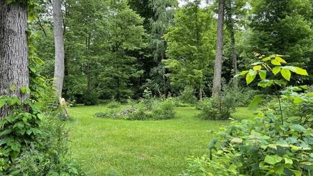 Highland County Ohio land for sale. - image 39