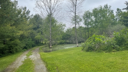 Highland County Ohio land for sale. - image 7