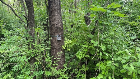 Highland County Ohio land for sale. - image 27