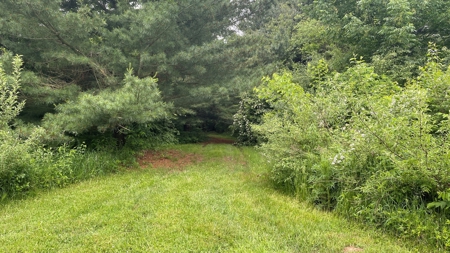 Highland County Ohio land for sale. - image 11