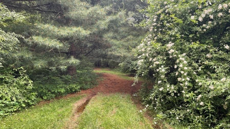 Highland County Ohio land for sale. - image 12