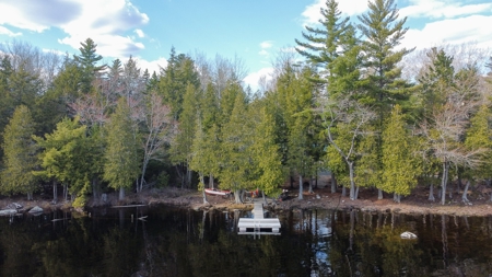 Off-Grid Log Cabin - image 5