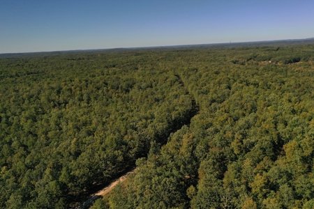 Farm For Sale In Southeast Missouri - image 5
