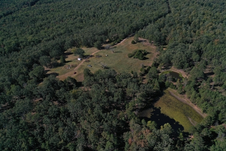 Farm For Sale In Southeast Missouri - image 8