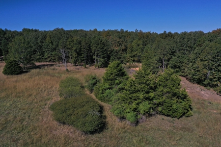 Farm For Sale In Southeast Missouri - image 10