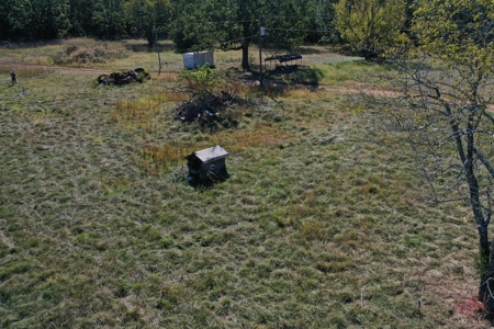 Farm For Sale In Southeast Missouri - image 2