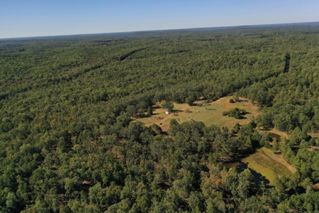 Farm For Sale In Southeast Missouri - image 1