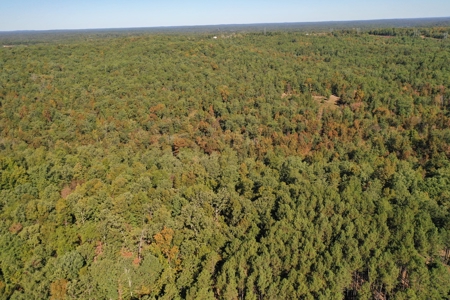 Farm For Sale In Southeast Missouri - image 4