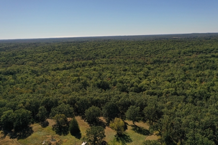 Farm For Sale In Southeast Missouri - image 6