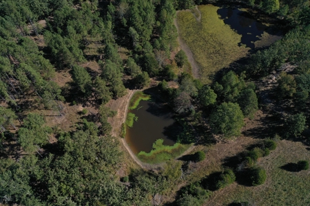 Farm For Sale In Southeast Missouri - image 3