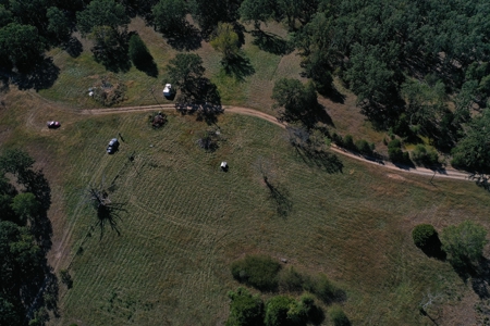 Farm For Sale In Southeast Missouri - image 7