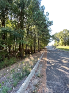 Investment Opportunity!  Apartments in Arkadelphia - image 5