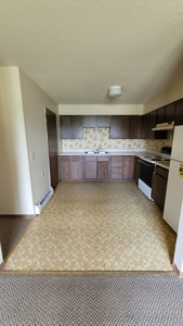 Multi-Unit Investment Property For Sale - image 6
