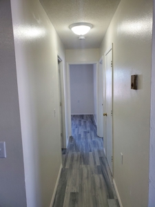 Multi-Unit Investment Property For Sale - image 14