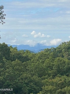 459.6 Unrestricted Land East Tennessee For Sale - image 3