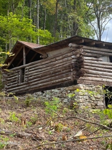 459.6 Unrestricted Land East Tennessee For Sale - image 5