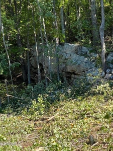 459.6 Unrestricted Land East Tennessee For Sale - image 2