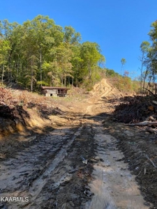 459.6 Unrestricted Land East Tennessee For Sale - image 4