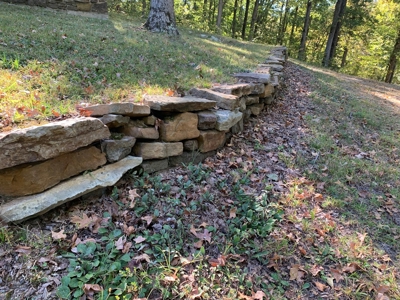Getaway Cabin In Newton County Arkansas - image 30
