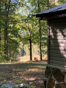 Getaway Cabin In Newton County Arkansas - image 7