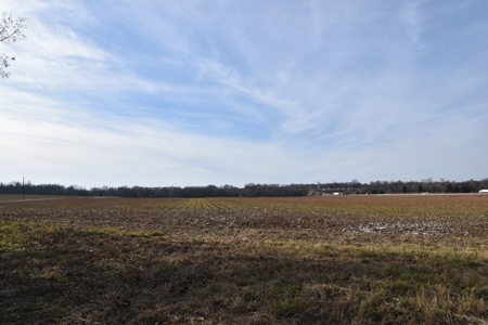 100 Commercial Acres For Sale w/frontage on I-40, Jackson TN - image 26