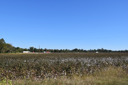 100 Commercial Acres For Sale w/frontage on I-40, Jackson TN - image 14