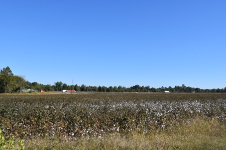 100 Commercial Acres For Sale w/frontage on I-40, Jackson TN - image 5