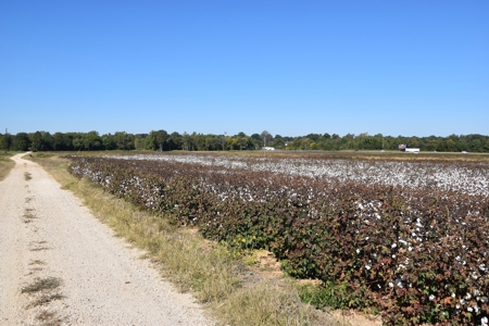 100 Commercial Acres For Sale w/frontage on I-40, Jackson TN - image 2