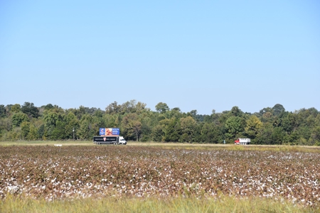 100 Commercial Acres For Sale w/frontage on I-40, Jackson TN - image 3