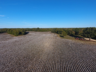 100 Commercial Acres For Sale w/frontage on I-40, Jackson TN - image 18