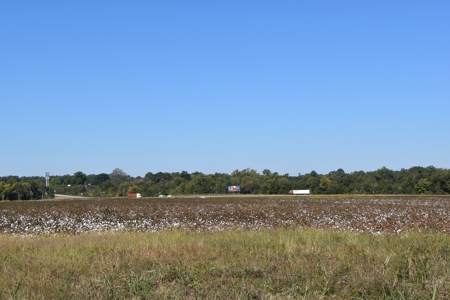 100 Commercial Acres For Sale w/frontage on I-40, Jackson TN - image 11