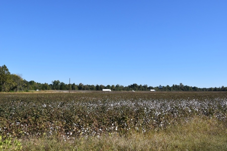 100 Commercial Acres For Sale w/frontage on I-40, Jackson TN - image 13